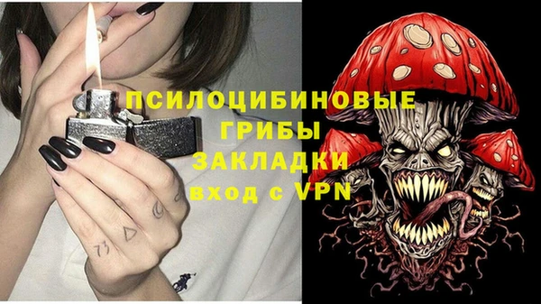 трава Лабытнанги