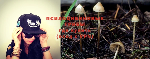 МДПВ Кукмор