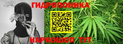 гашик Нальчик