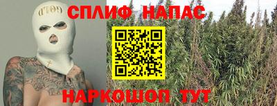 гашик Нальчик