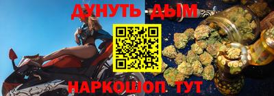 гашик Нальчик