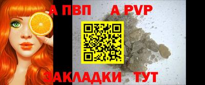 гашик Нальчик