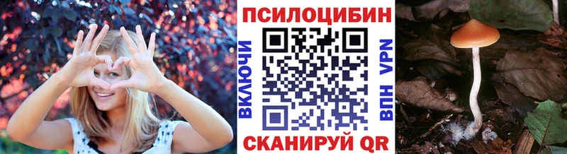 хочу наркоту  Углич  Псилоцибиновые грибы Cubensis 