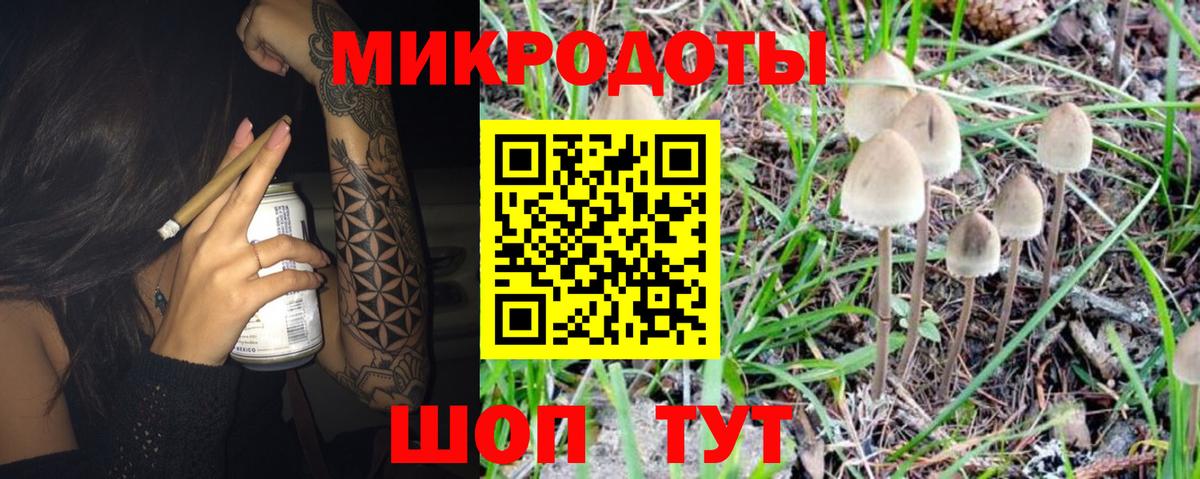 Галлюциногенные грибы MAGIC MUSHROOMS  Вход с VPN  Углич 